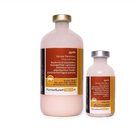 Vacuna Farrowsure Gold b x 10 dosis – Zoetis